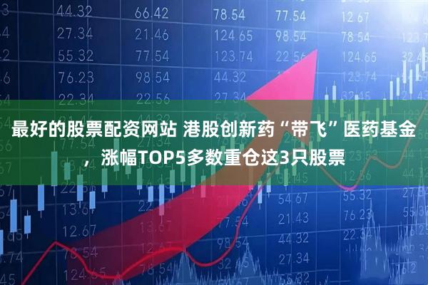 最好的股票配资网站 港股创新药“带飞”医药基金，涨幅TOP5多数重仓这3只股票